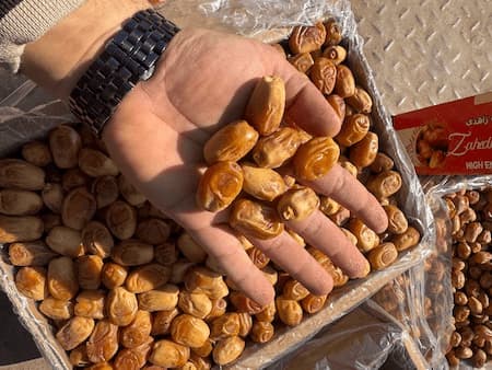 تصویر 3 از خرما زاهدی عمده تازه انتخابی مناسب برای بازارهای مختلف